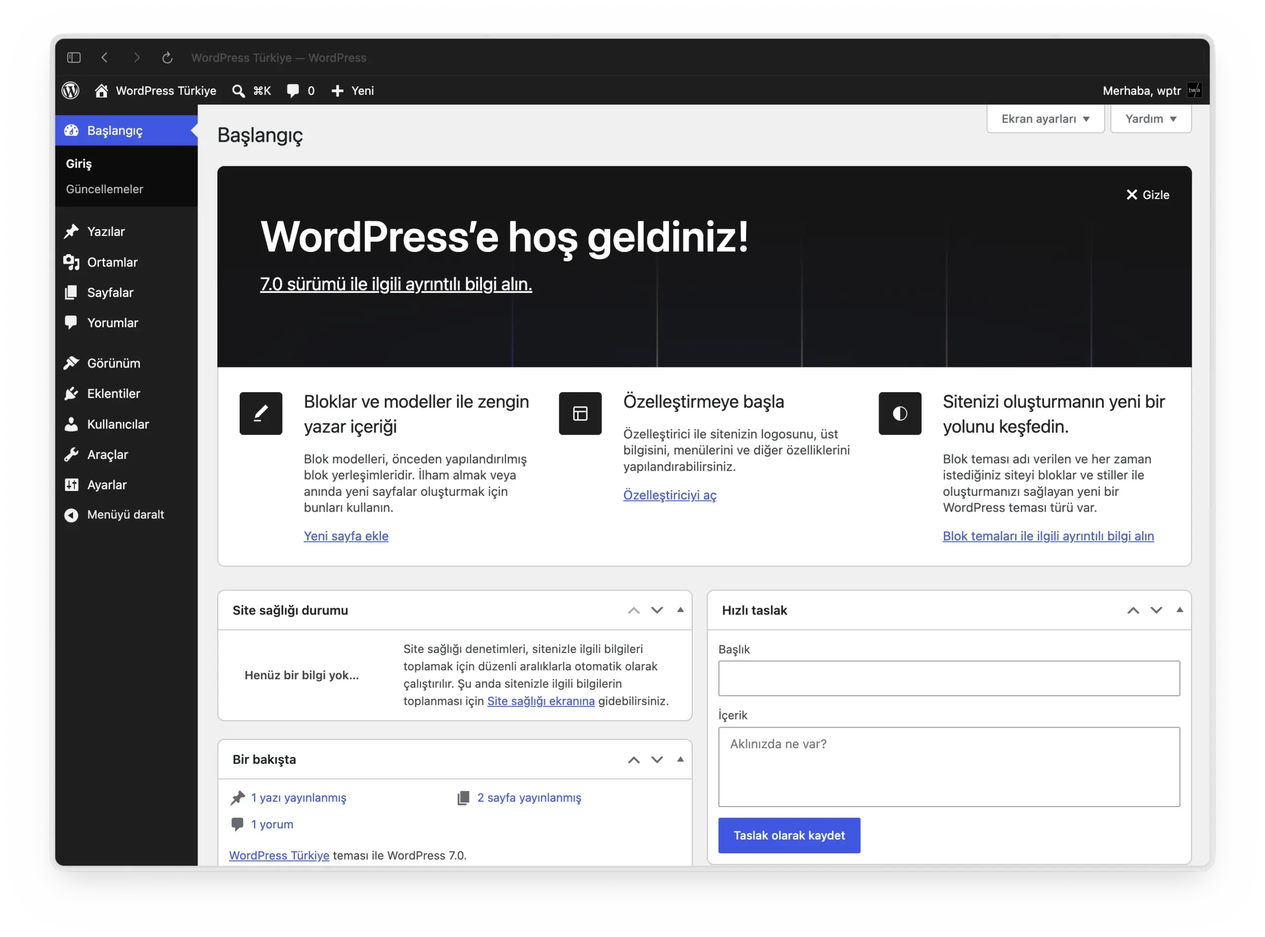 WordPress yönetim paneli